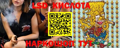 молекула духа Пугачёв