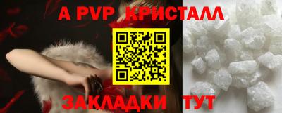 молекула духа Пугачёв
