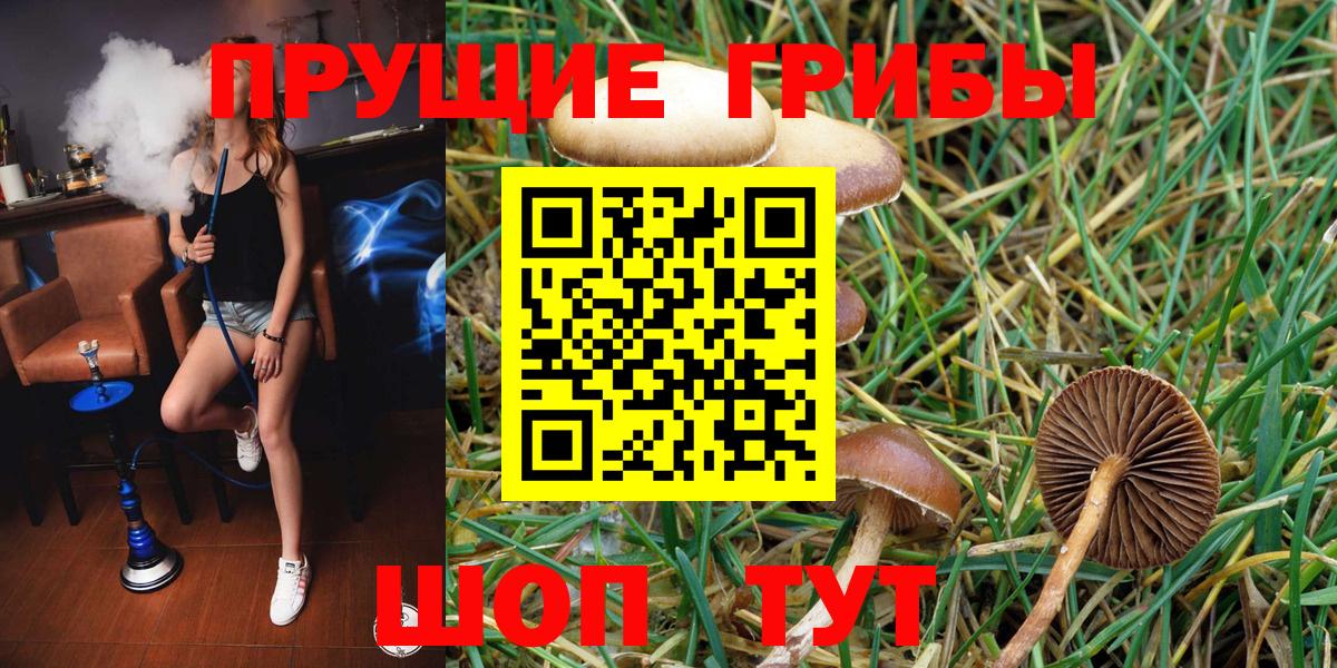 Галлюциногенные грибы GOLDEN TEACHER Сатка
