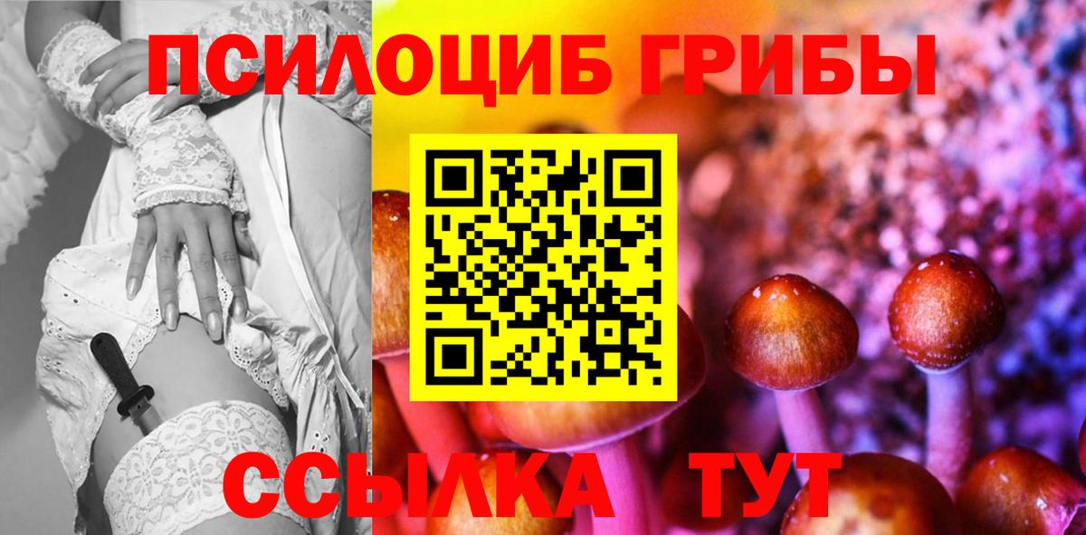 Сатка  закладки  Вход с VPN  Псилоцибиновые грибы GOLDEN TEACHER  Псилоцибиновые грибы Cubensis 